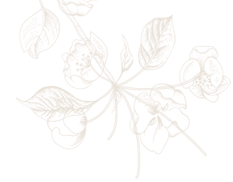 decorative shape