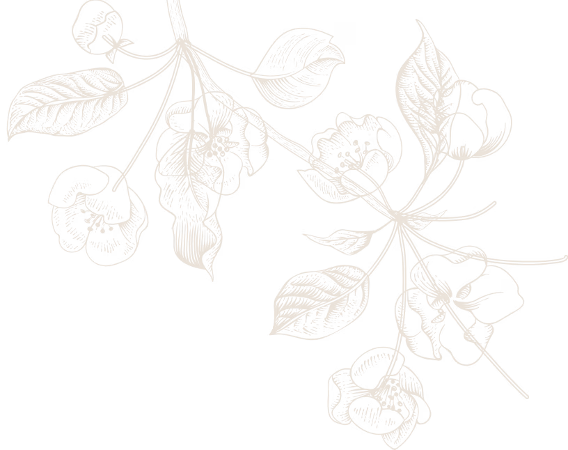 decorative shape
